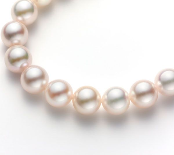 【姫路市】真珠ネックレスの値段が高騰中！高品質でもリーズナブルな真珠ネックレスとは｜BJ NAVI