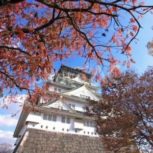 秋のプロポーズにおすすめのスポットなら大阪城